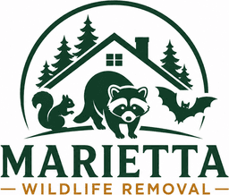 Marietta Wildlife Removal